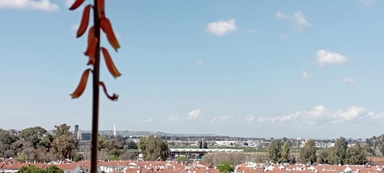 Apartamento Fibes Y Congresos セビリア エクステリア 写真